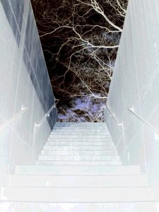 up the stairs into chicago,negative photo