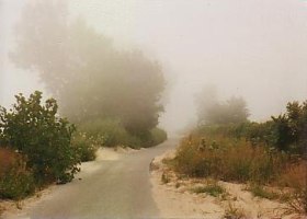 bike trail in the fog 