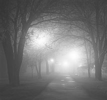 park in the fog at night