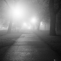 park in the fog at night